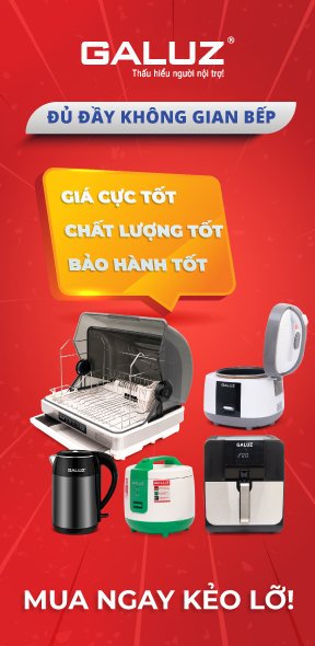 Bếp điện - Bếp từ-Bếp ga
